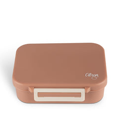 citron-absolut-tritan-snackbox-blush-pink-citr-73995- (1)