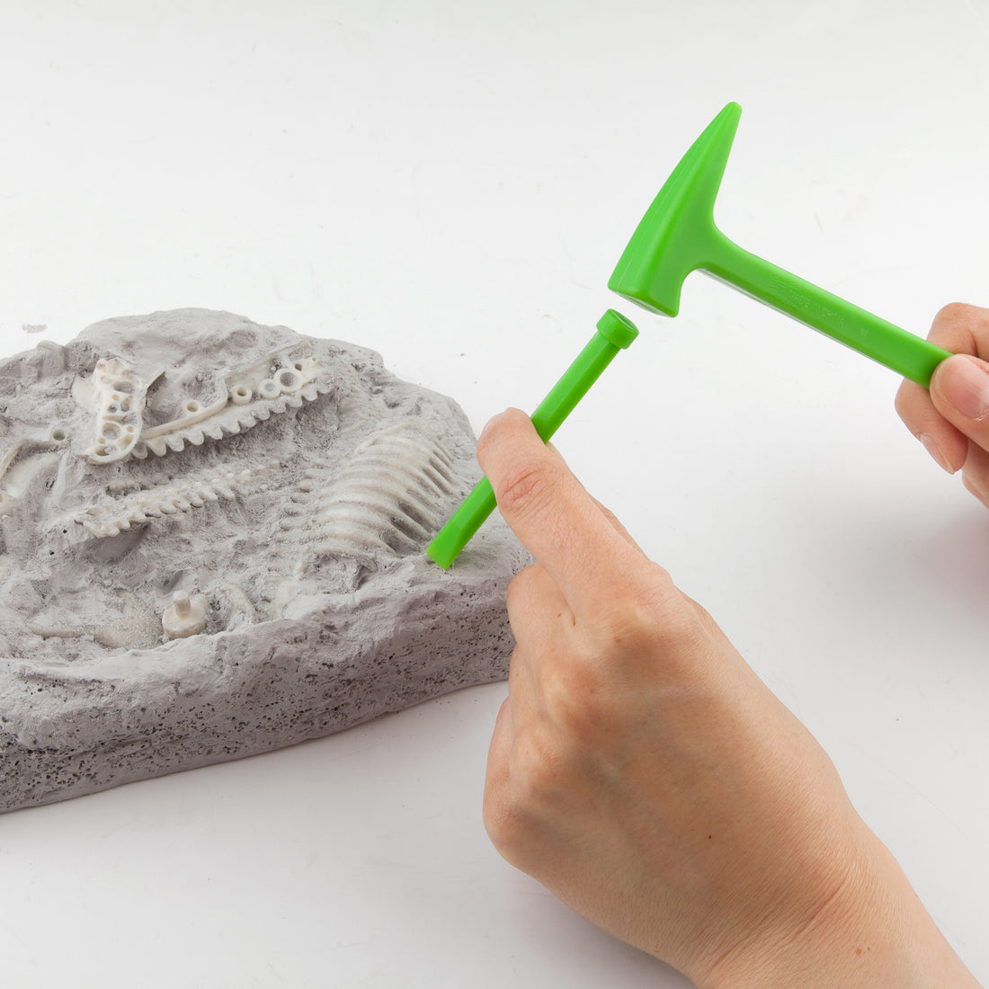 depesche-dino-world-excavation-kit-big- (13)