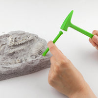 depesche-dino-world-excavation-kit-big- (13)