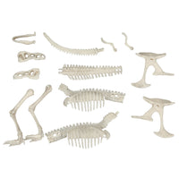 depesche-dino-world-excavation-kit-big- (2)