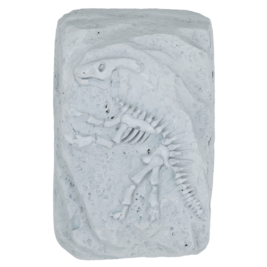 depesche-dino-world-excavation-kit-small- (2)