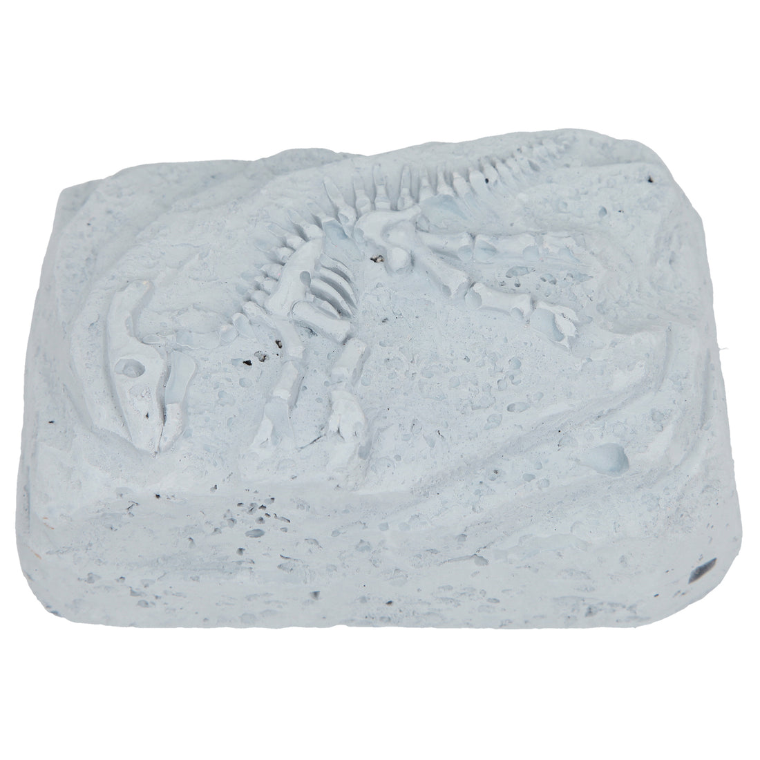 depesche-dino-world-excavation-kit-small- (4)