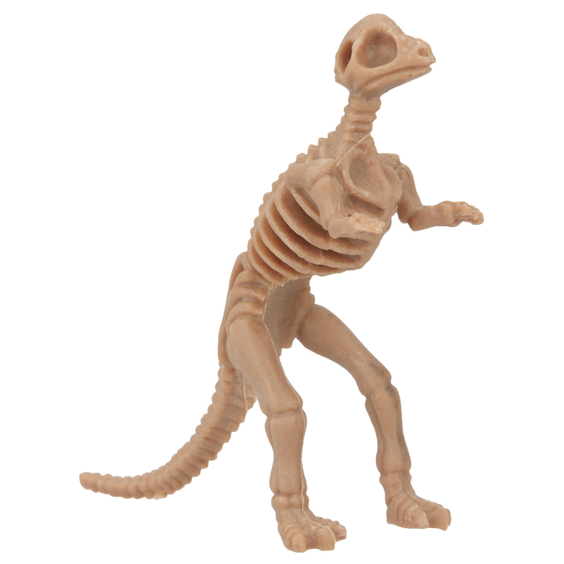 depesche-dino-world-excavation-kit-small- (13)
