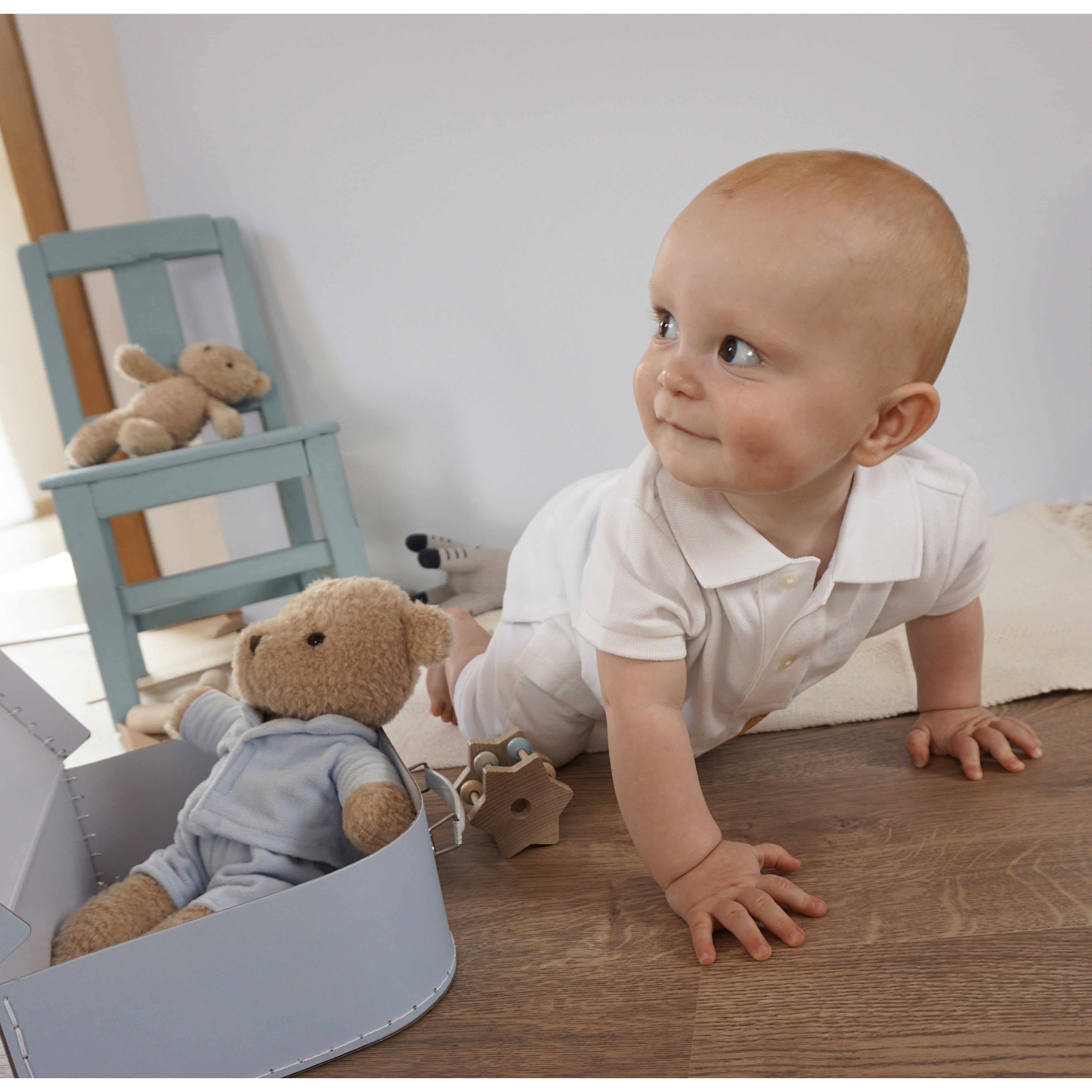 egmont-toys-morris-musical- (11)