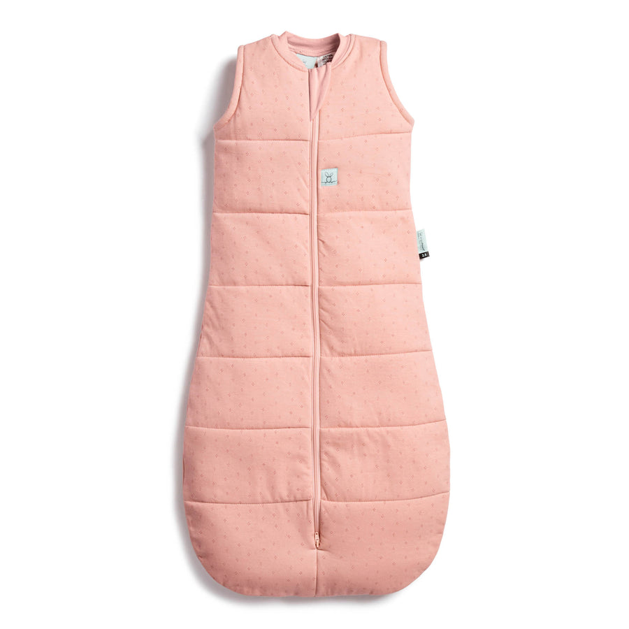 ergopouch-jersey-sleeping-bag-2-5-tog-berries-ergo-zepjb-2-5t08-24mbe20- (1)