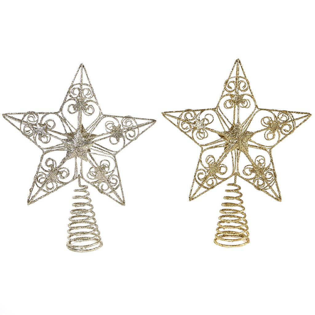 goodwill-glt-star-topper-champ- (2)