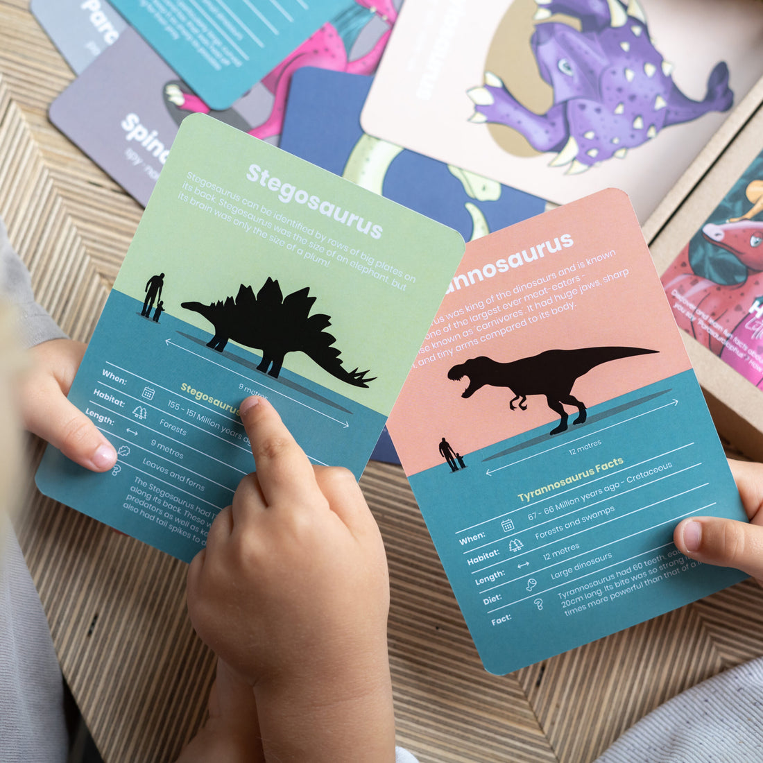 happy-little-doers-learn-dinosaurs-flashcards-hpld-001df- (2)