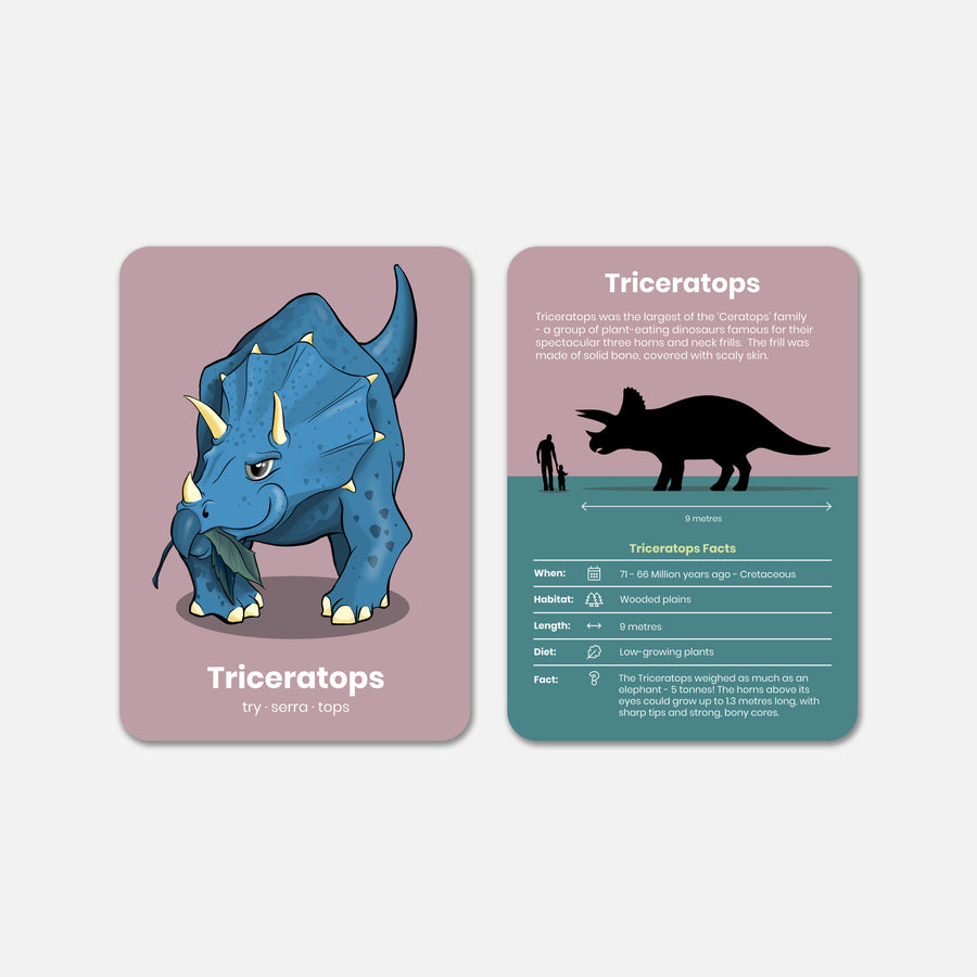 happy-little-doers-learn-dinosaurs-flashcards-hpld-001df- (5)