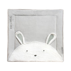histoire-d-ours-play-mats-hdo-dc3060- (1)