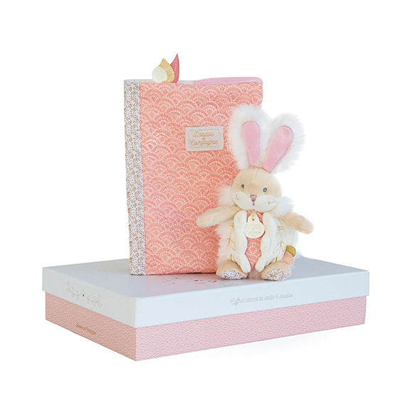 histoire-dours-healthbook-cover-pink-doudou-box-lapin-de-hdo-dc3498- (1)