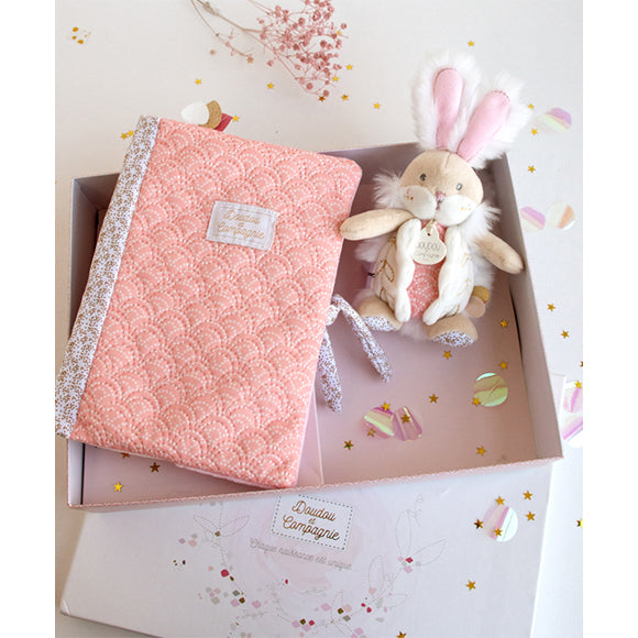 histoire-dours-healthbook-cover-pink-doudou-box-lapin-de-hdo-dc3498- (3)