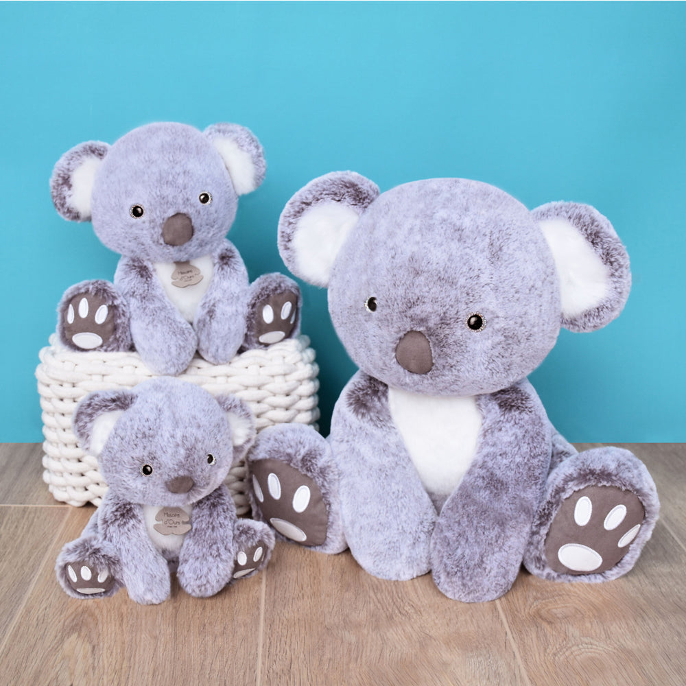 histoire-dours-koala-25cm-hdo-ho2969- (6)
