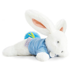 histoire-dours-lapin-tutti-frutti-tiblue- (1)