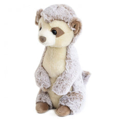 histoire-dours-les-animaux-des-grands-espaces-meerkat-1
