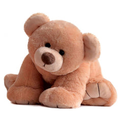 histoire-dours-les-ours-titours-et-bellydou-honey-gros-ours- (1)