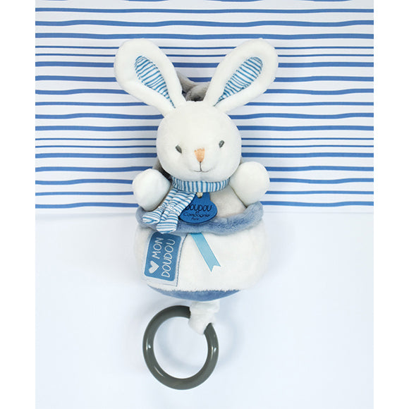 histoire-dours-meli-melo-assortiment-boites-a-musique-hdo-dc3836- (22)