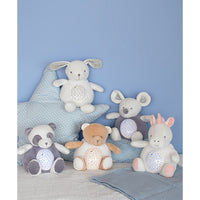histoire-dours-nightlight-rabbit-hdo-dc3694- (2)