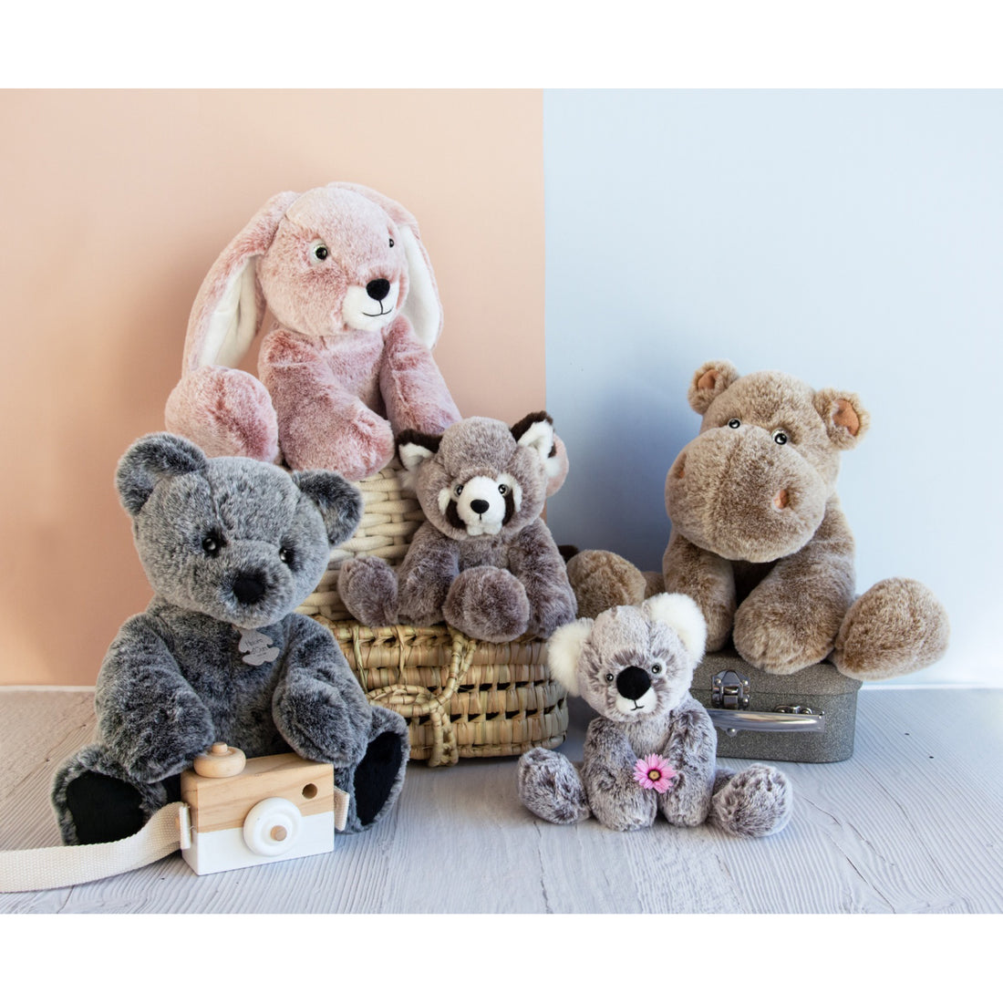 histoire-dours-ours-mousse-anthracite-bear- (5)