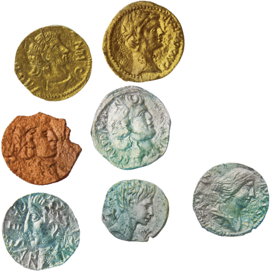 house-of-marbles-dig-discovery-roman-coins- (2)