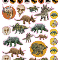 Dinosaurs Re-Usable Sticker Book