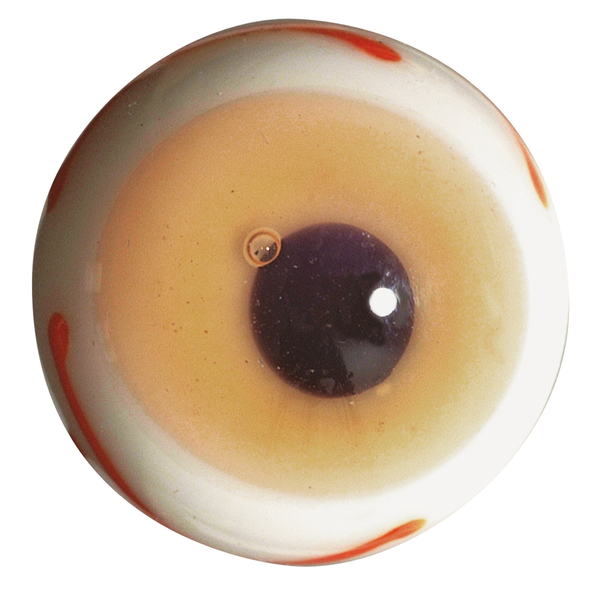 house-of-marbles-eyeball-marble-20mm- (2)