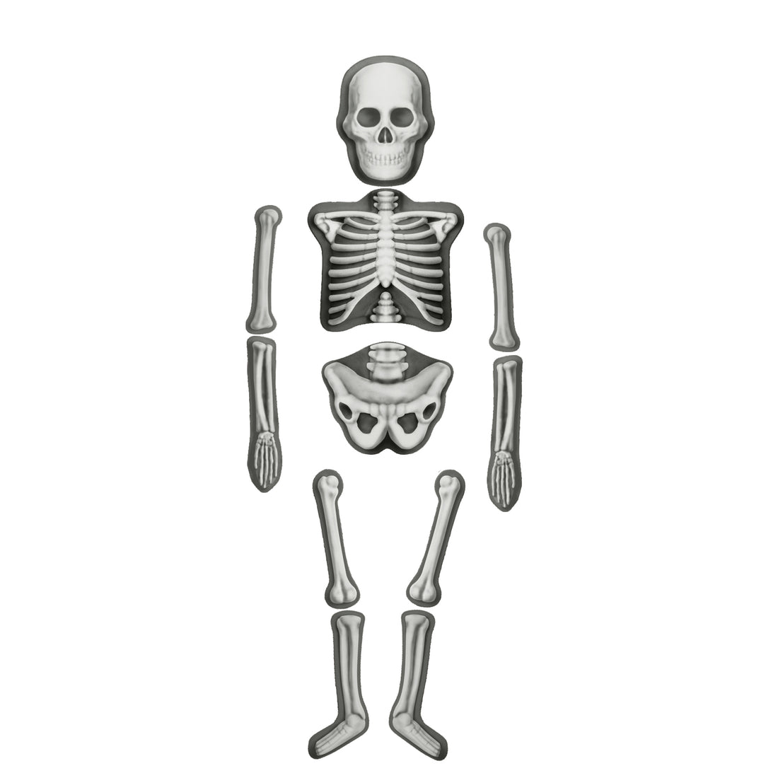 house-of-marbles-human-skeleton-make-&-decorate-kit-hom-212911- (1)