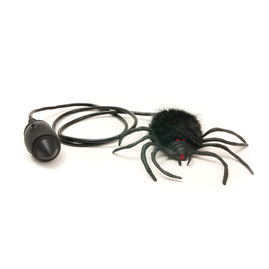house-of-marbles-jumping-spider-hom-222038- (1)