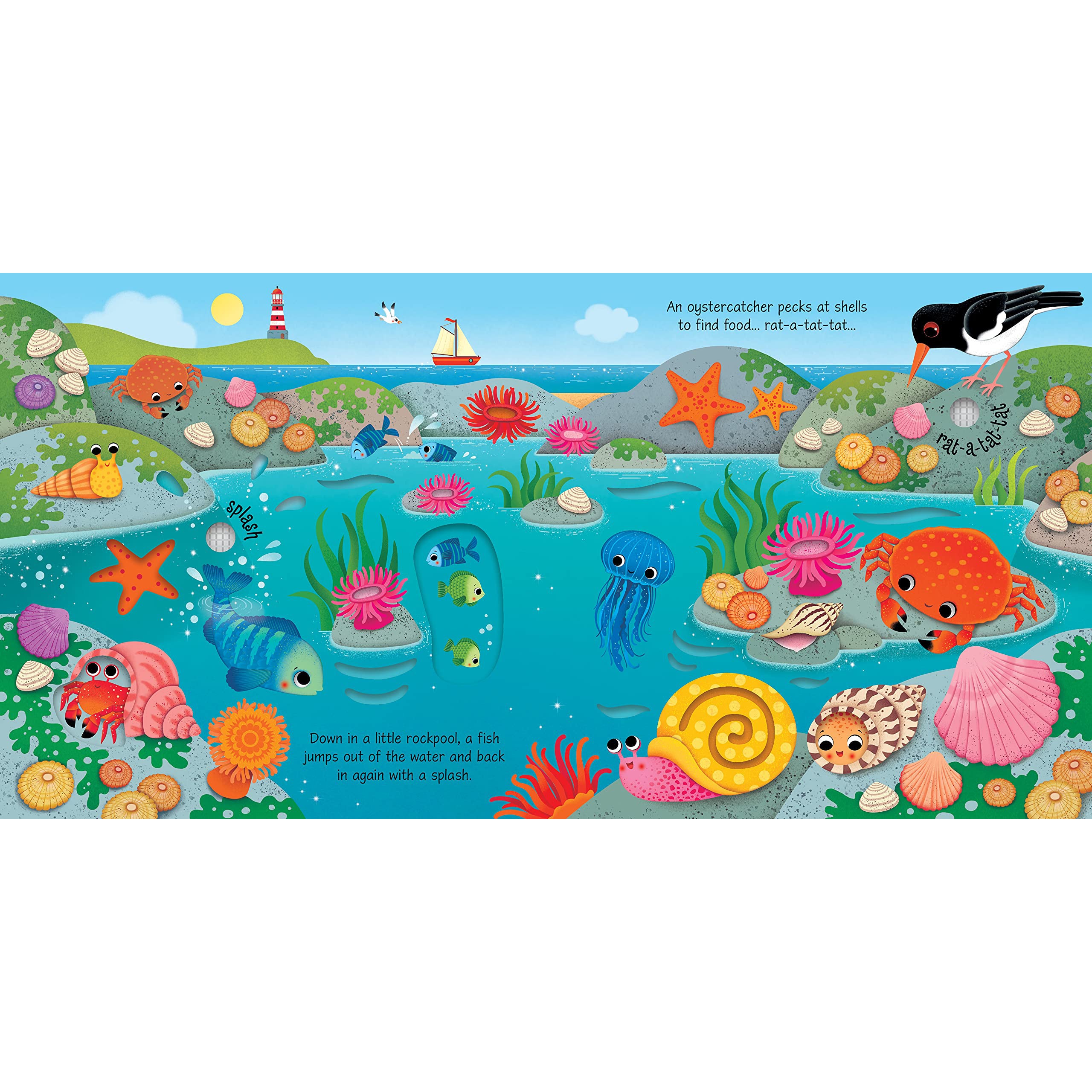 house-of-marbles-seashore-sounds-book-hom-403775- (2)