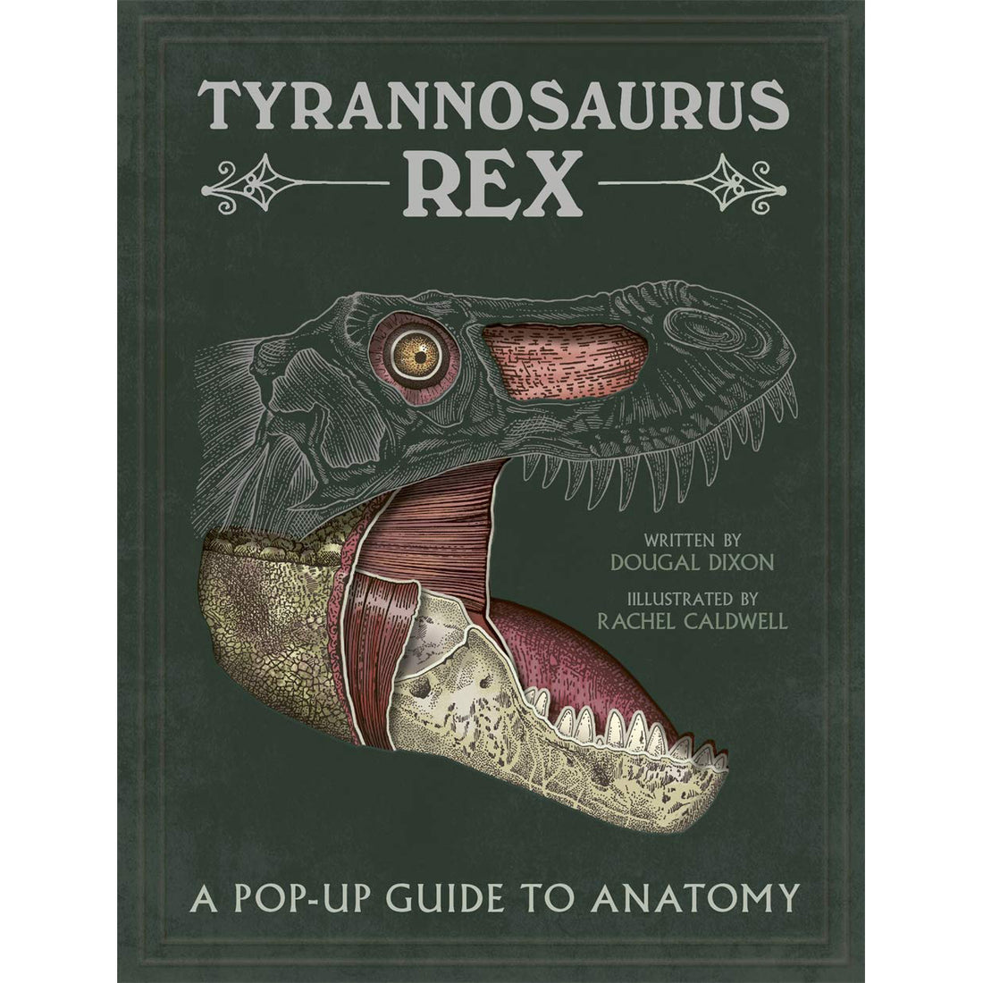 house-of-marbles-t-rex-popup-guide-to-anatomy-hom-403184- (1)