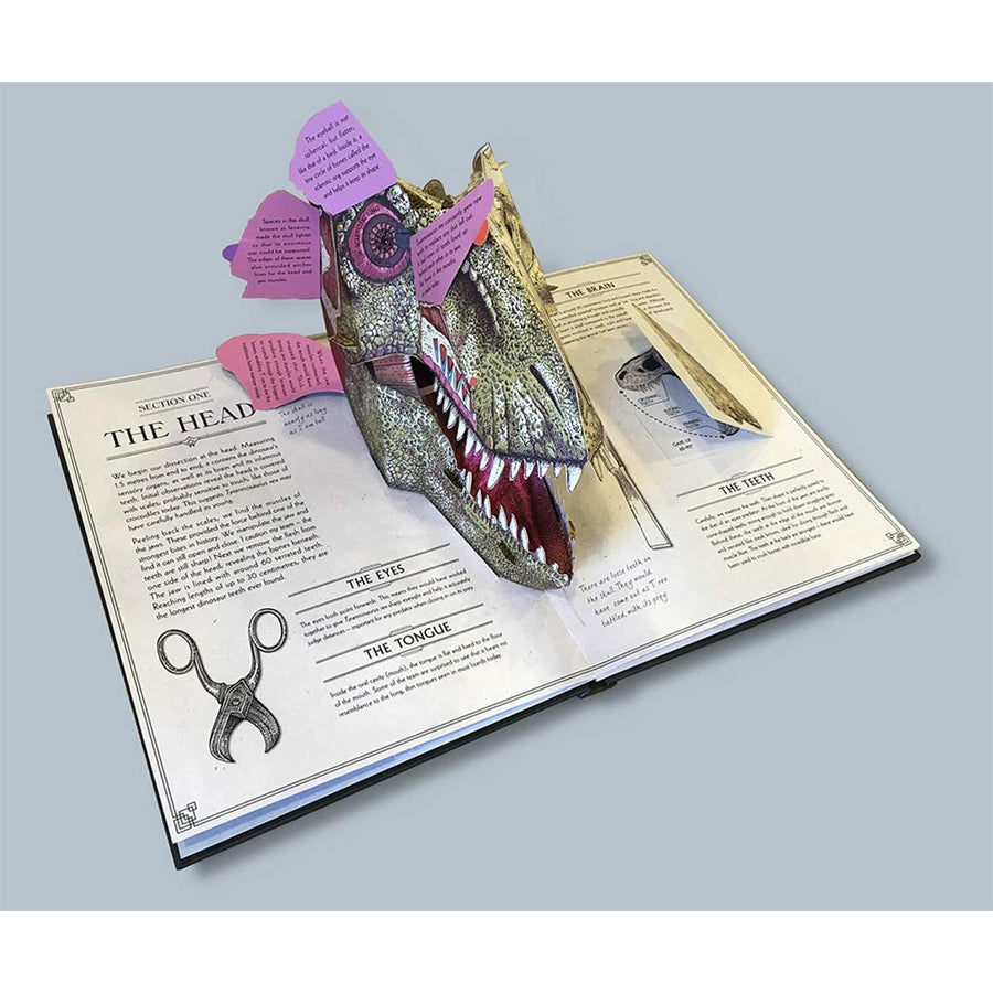 house-of-marbles-t-rex-popup-guide-to-anatomy-hom-403184- (4)