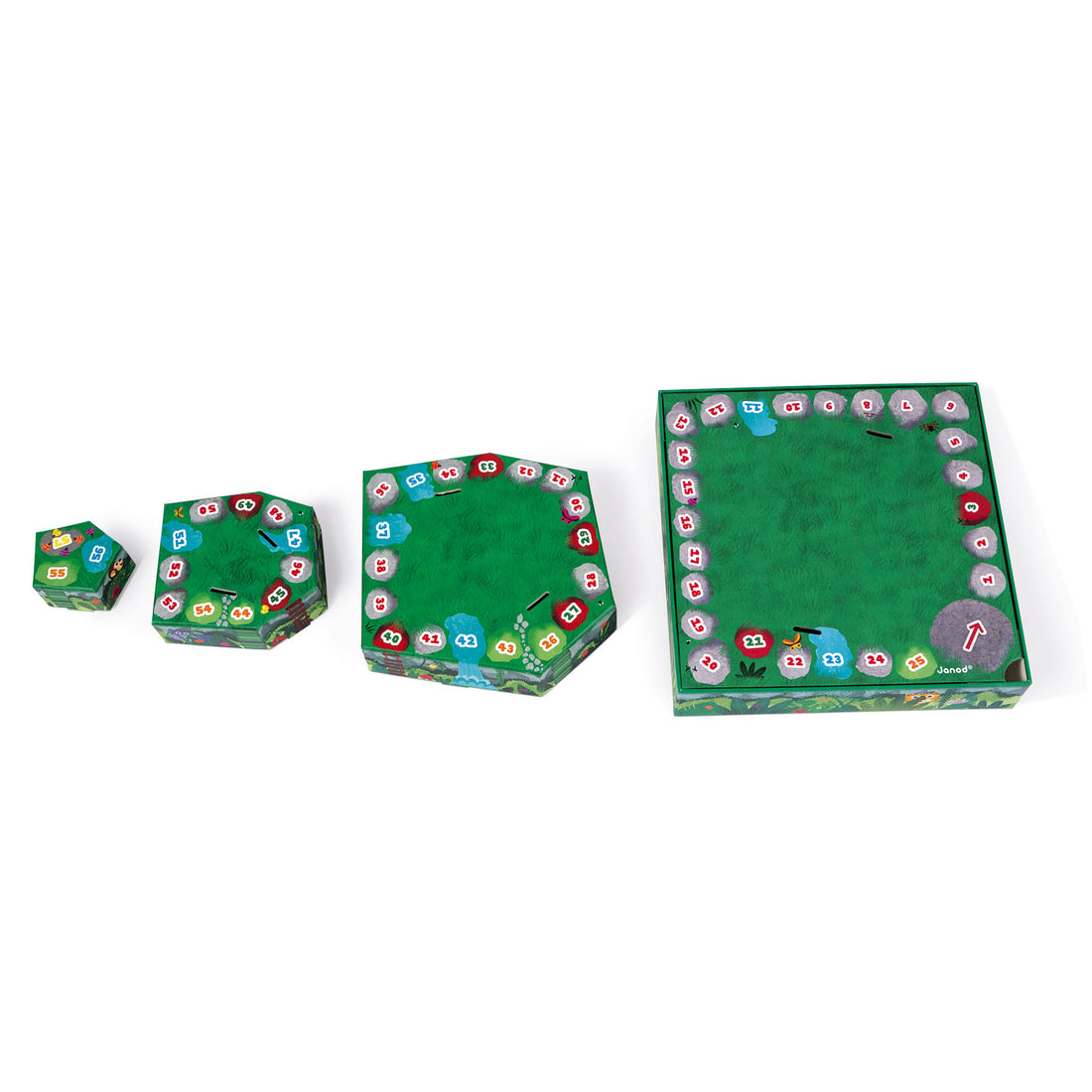 janod-racing-board-game-jungle- (4)