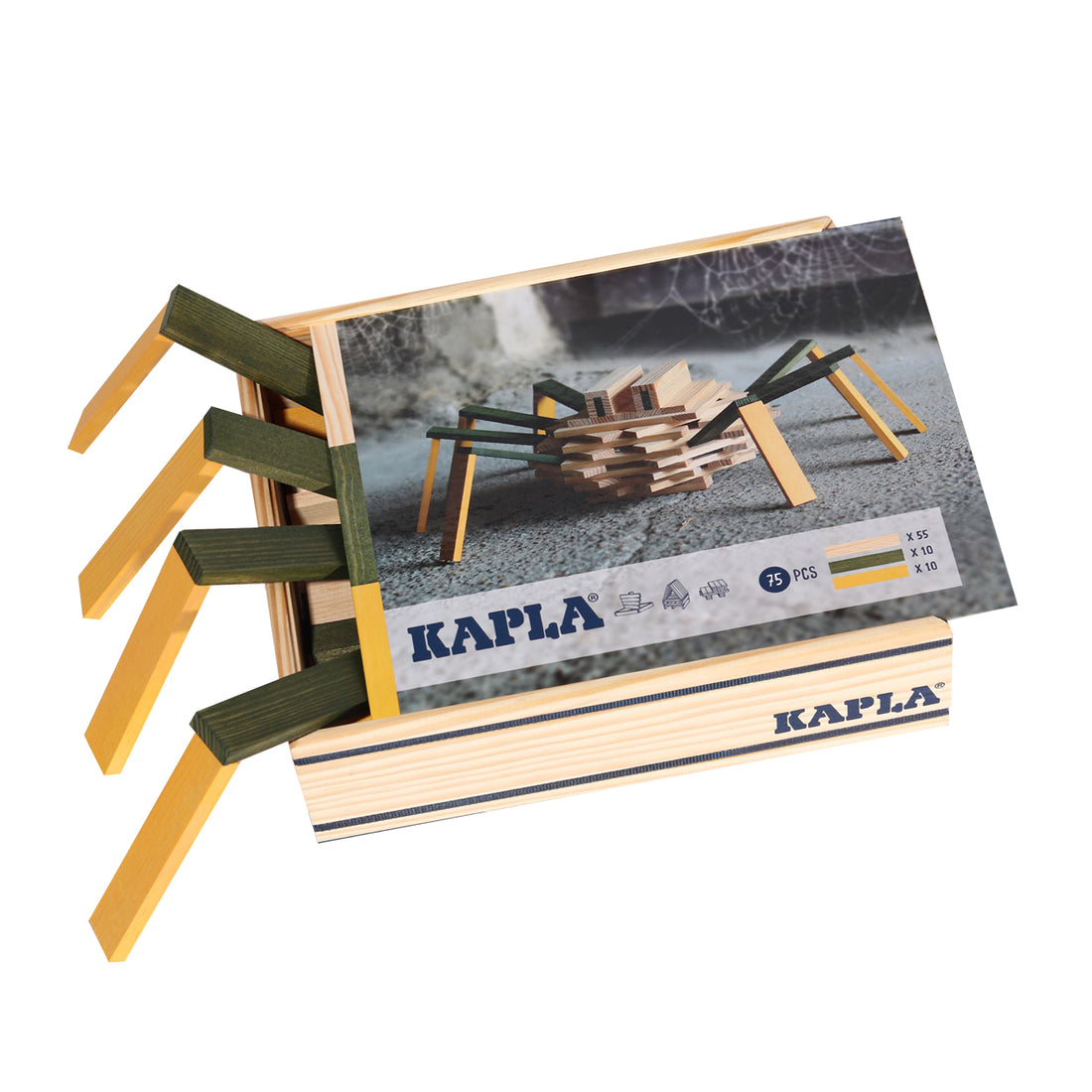 kapla-spider-case- (4)