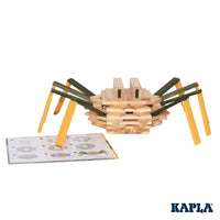 kapla-spider-case- (5)