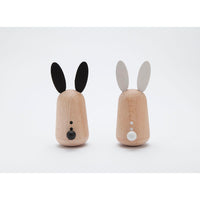kukkia-a-pair-of-loving-musical-rabbits- (5)