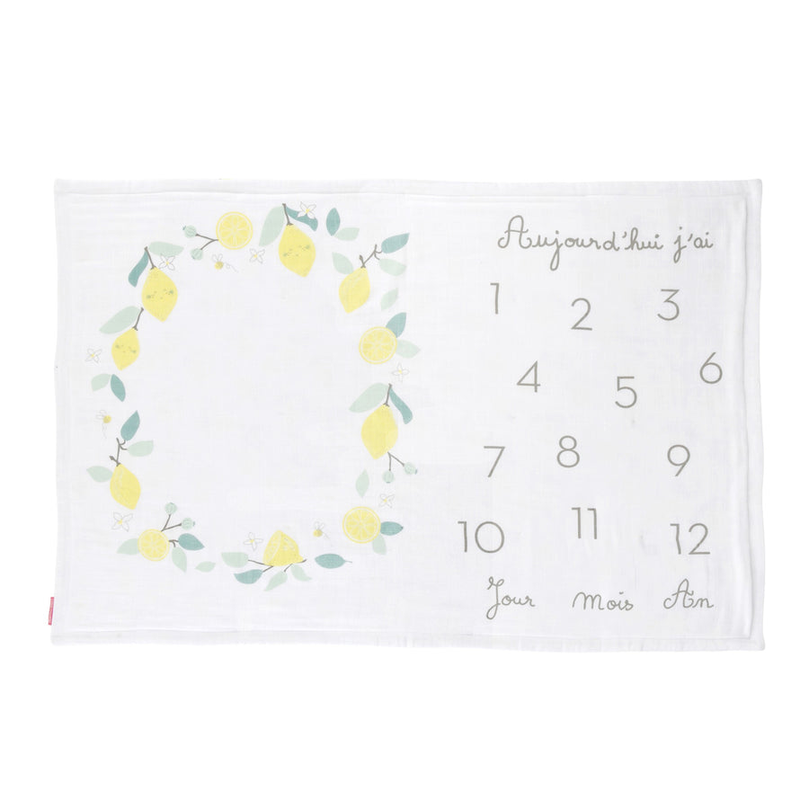 little-crevette-plaid-photobooth-limonade- (1)