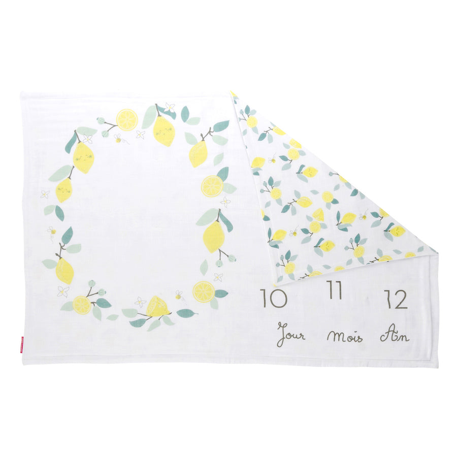 little-crevette-plaid-photobooth-limonade- (2)