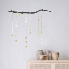 mimi-lou-meteor-shower-starts-