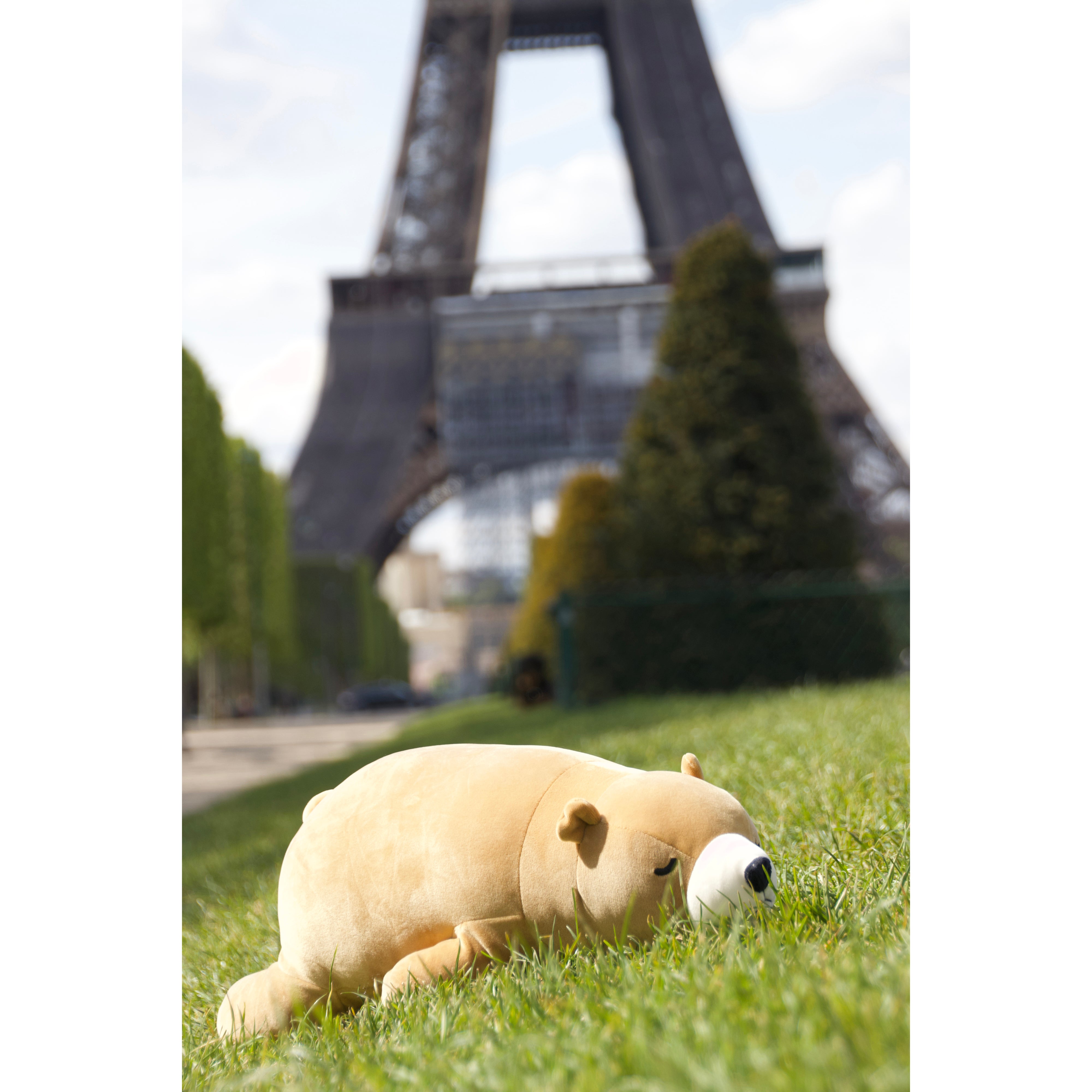 nemu-nemu-animals-cookie-brown-bear-trou-j6020- (7)