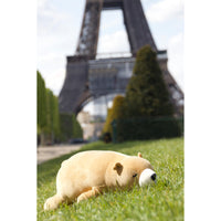 nemu-nemu-animals-cookie-brown-bear-trou-j6020- (7)