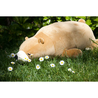 nemu-nemu-animals-cookie-brown-bear-trou-j6020- (8)
