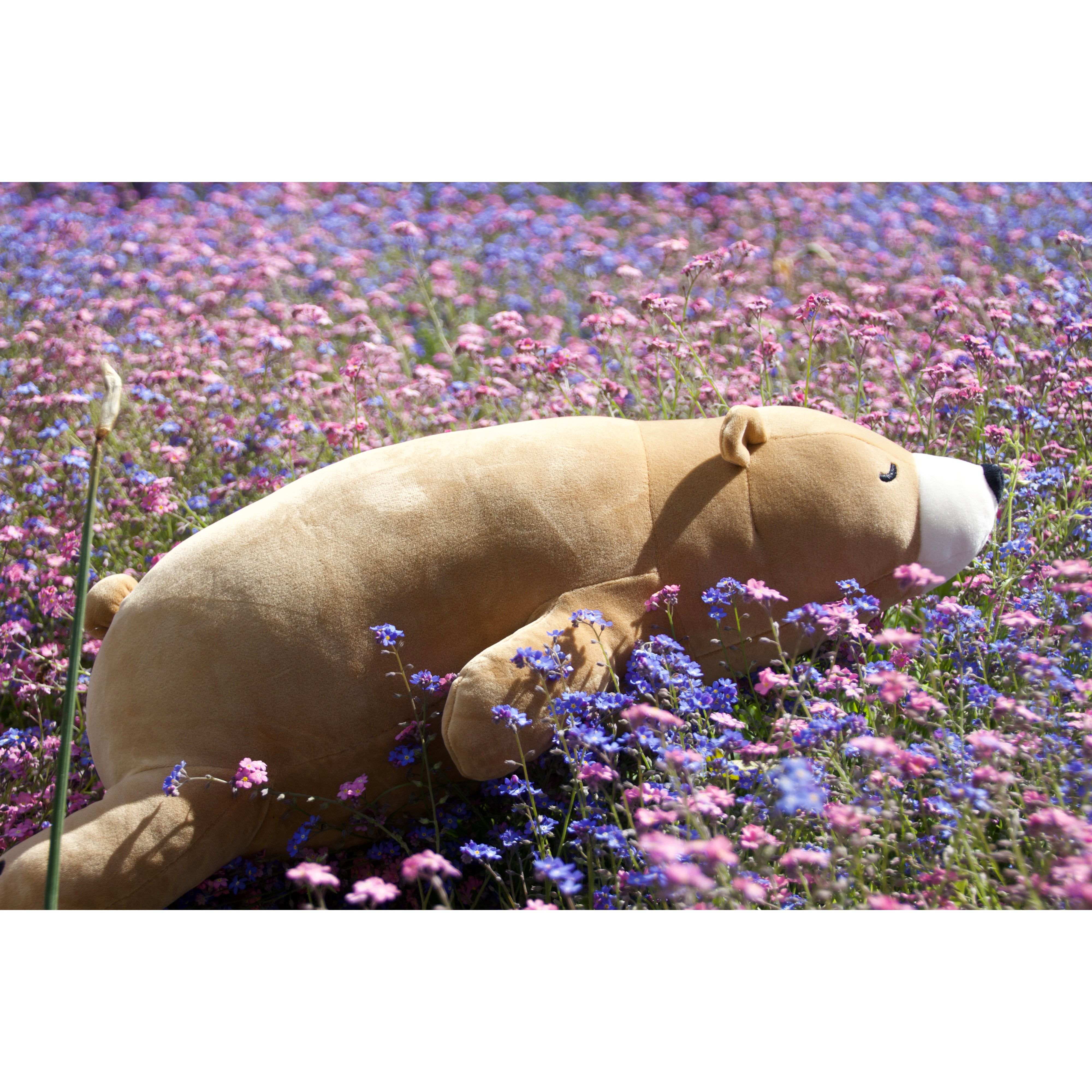 nemu-nemu-animals-cookie-brown-bear-trou-j6020- (9)