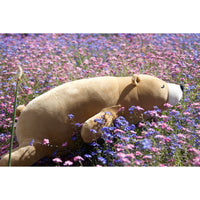 nemu-nemu-animals-cookie-brown-bear-trou-j6020- (9)