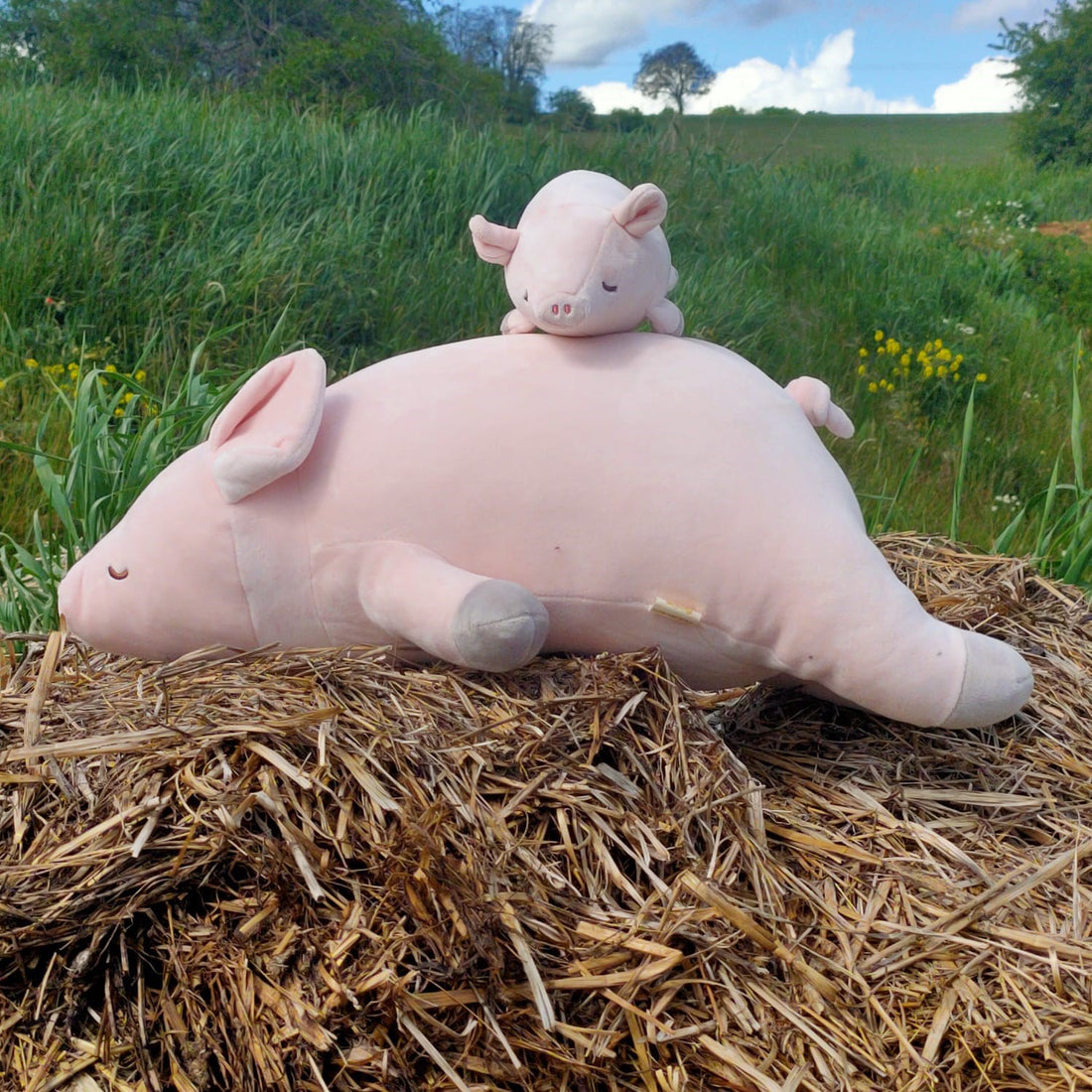 nemu-nemu-animals-pinkie-pig-trou-j6023-2