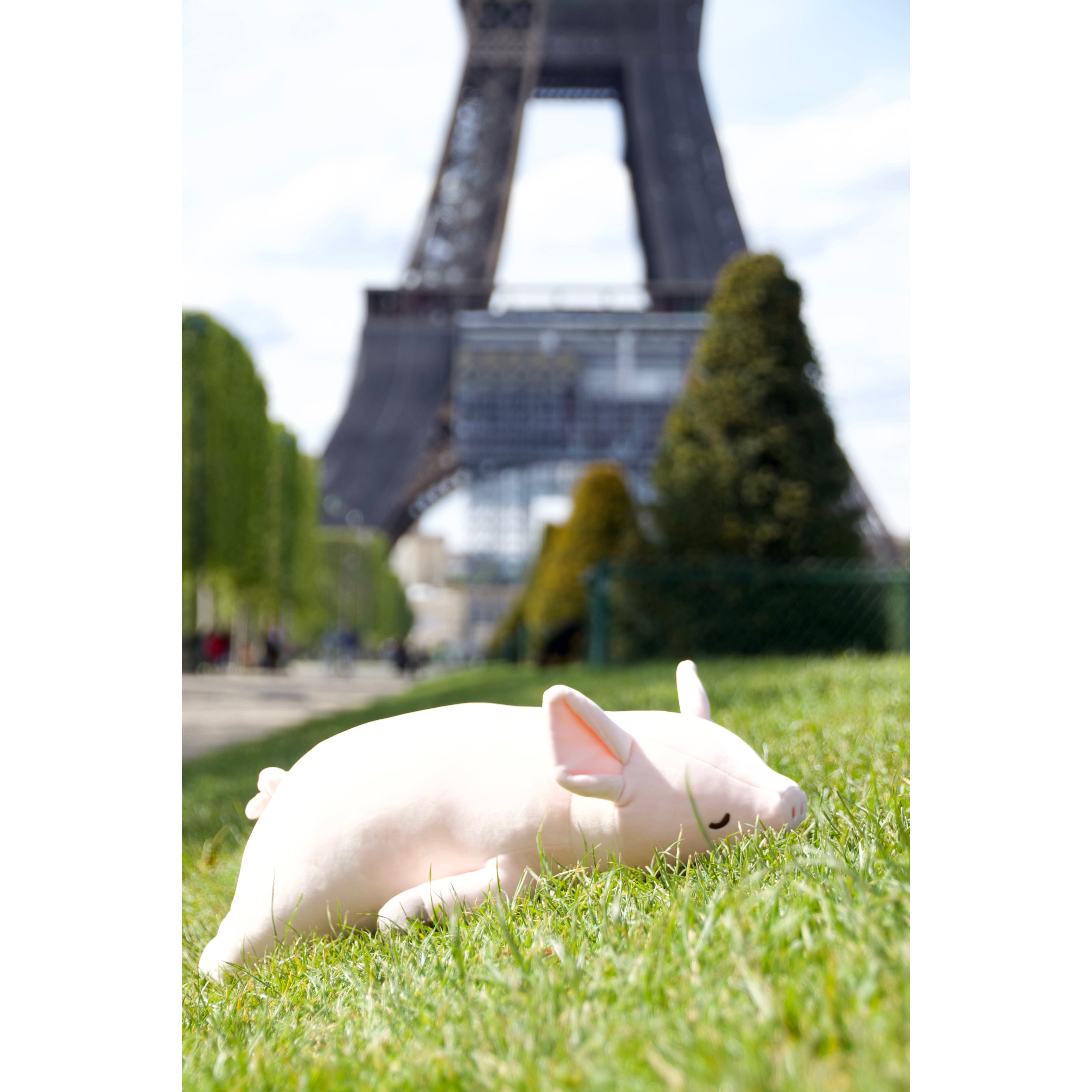 nemu-nemu-animals-pinkie-pig-trou-j6023-13