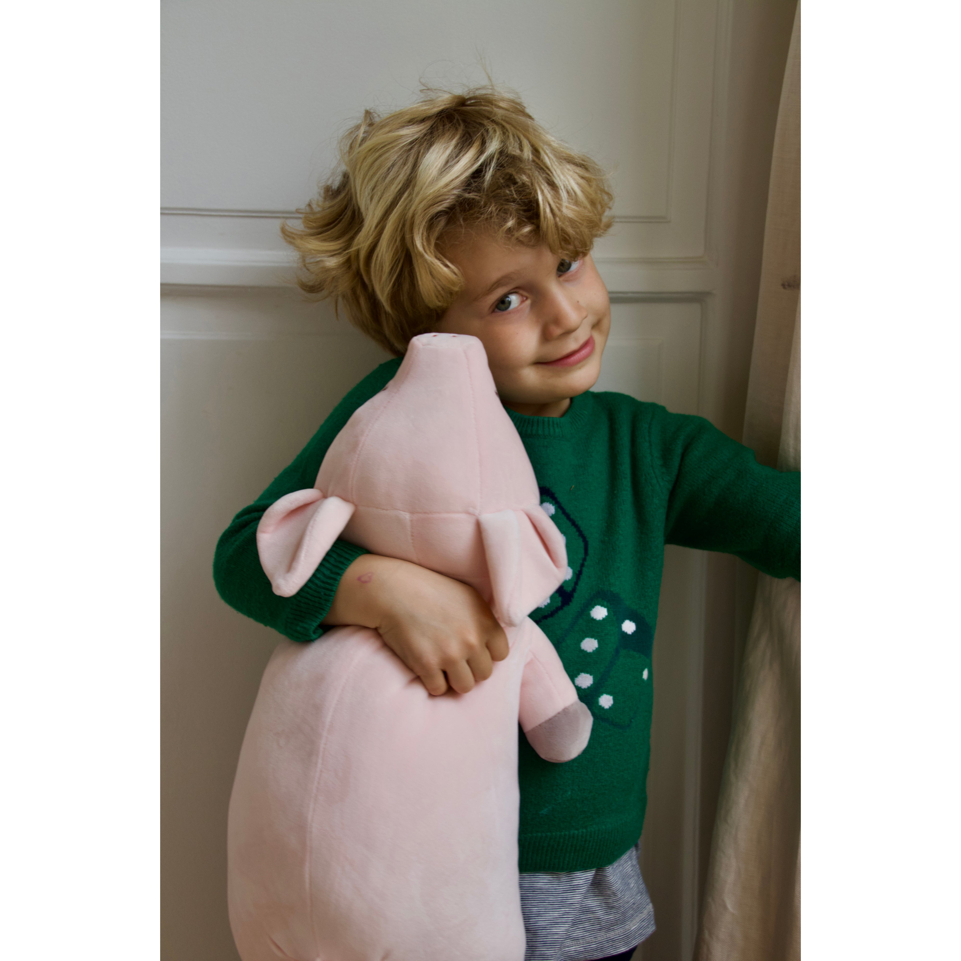 nemu-nemu-animals-pinkie-pig-trou-j6023-6