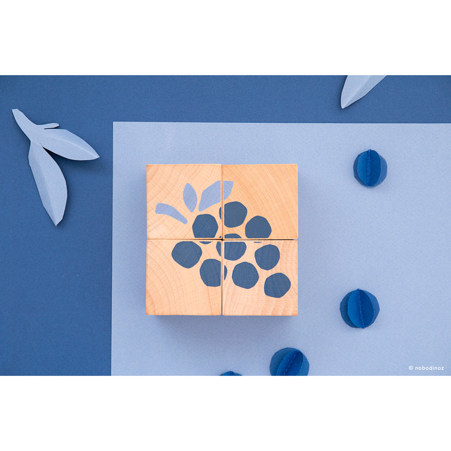 nobodinoz-fruits-wooden-cubes- (4)