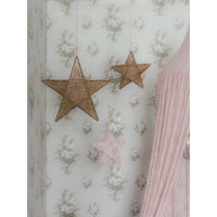 numero-74-star-lantern-lace-flower-powder- (3)
