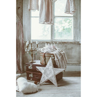 numero-74-star-lantern-lace-flower-powder- (5)