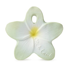 oli-&-carol-chewy-to-go-bali-the-flower-teether-olic-l-chewy-flower-mint- (1)