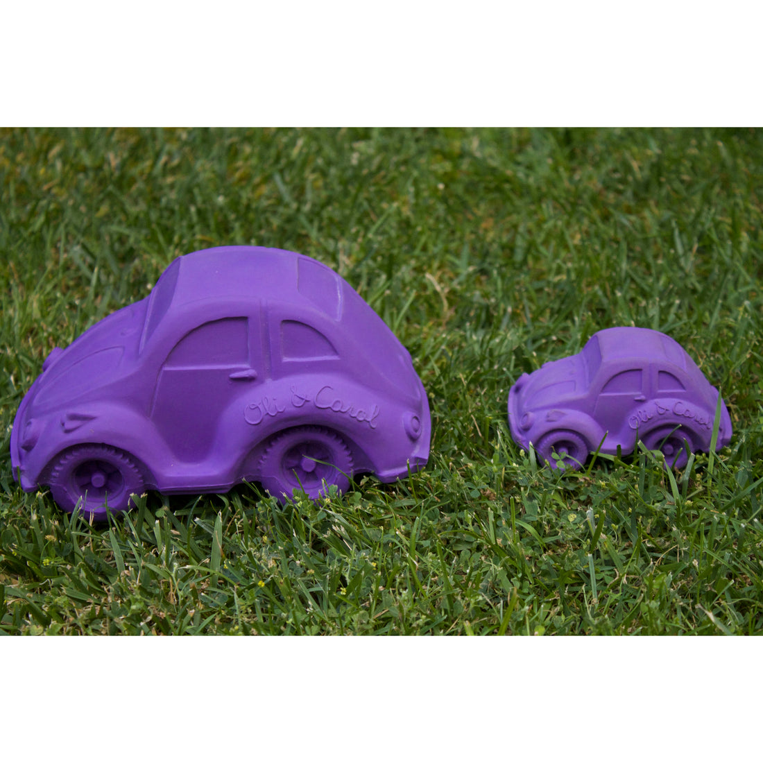 oli-&-carol-extra-large-beetle-car-teether- (50)